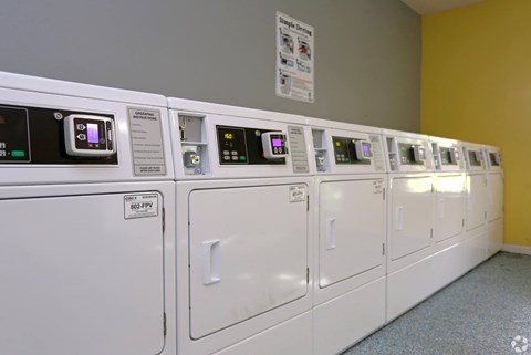 A row of washing machines are lined up in a laundromat.