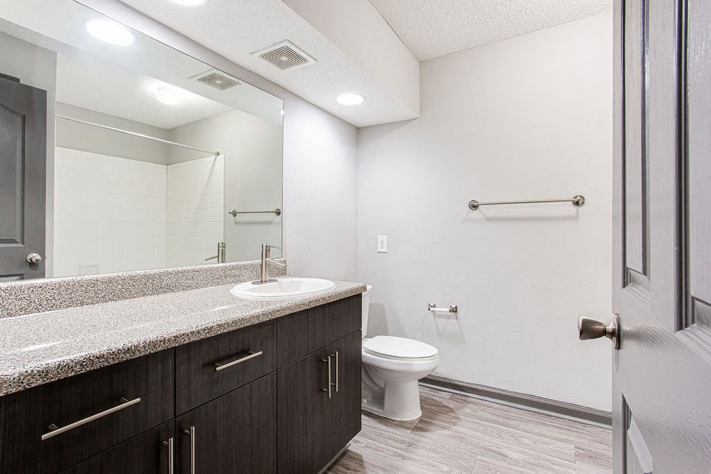 a bathroom with a sink and a toilet