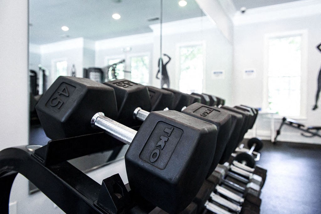 a row of black dumbbells in a gym