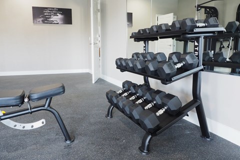 A gym with weights and a bench.