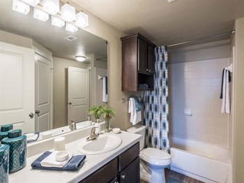 Bathroom With Bathtub Bathroom With Bathtub at Century Palm Bluff, Portland, TX, 78374 - Photo Gallery 5