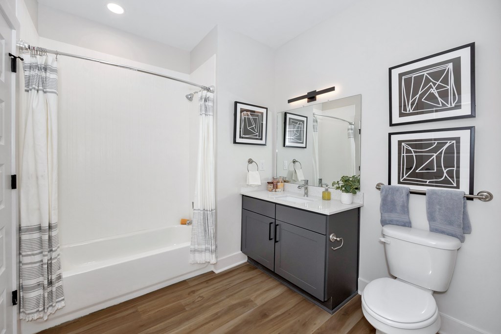 A bathroom with a white toilet, a white bathtub, and a cabinet with a mirror above it.