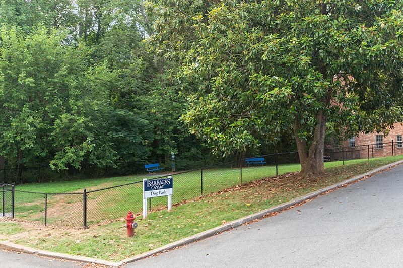 Beautiful trees at Barracks West apartments in Charlottesville, VA
