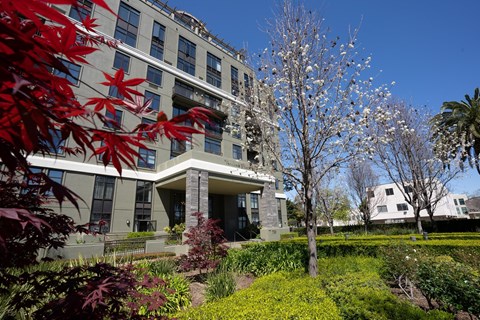 A modern building with a grey facade and a tree with white flowers in front.