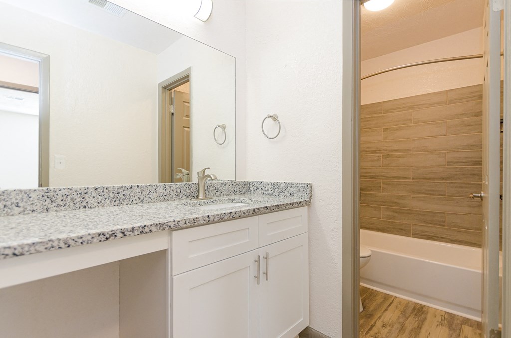 Bathroom Interior