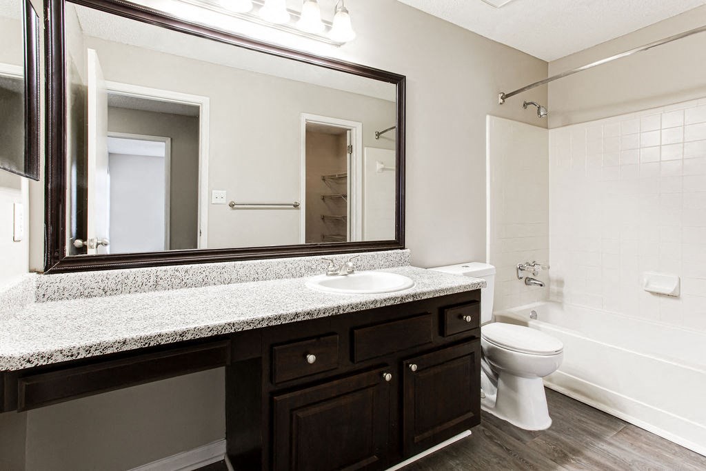 a bathroom with a sink and a toilet and a mirror