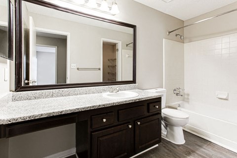 Large Bathroom at Wildcreek Apartments, Clarkston, Georgia