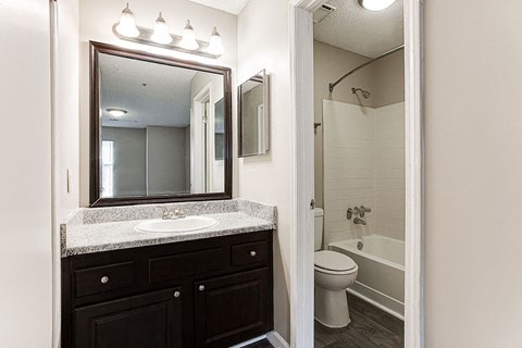 Modern Bathroom at Wildcreek Apartments, Clarkston, GA