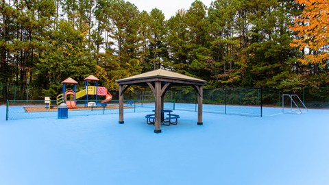 Play And Picnic Area at Wildcreek Apartments, Clarkston