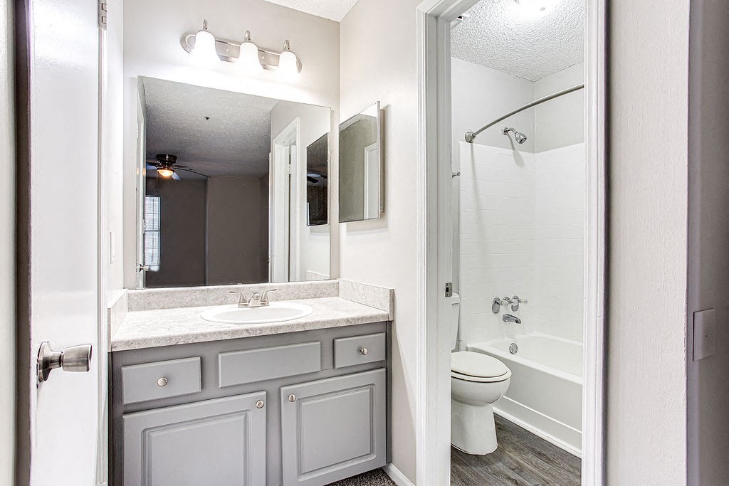 a bathroom with a toilet and a sink and a mirror