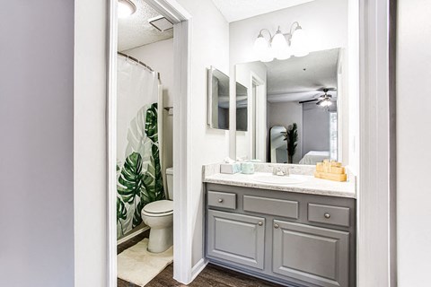 Luxurious Bathroom at Wildcreek Apartments, Georgia 30021