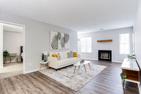Living Area With Fireplace at Wildcreek Apartments, Clarkston