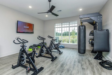 A room with a television, exercise equipment, and a punching bag.