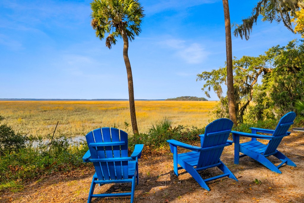 Three blue chairs are placed on the ground near two trees.