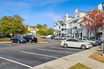 a parking lot with trees