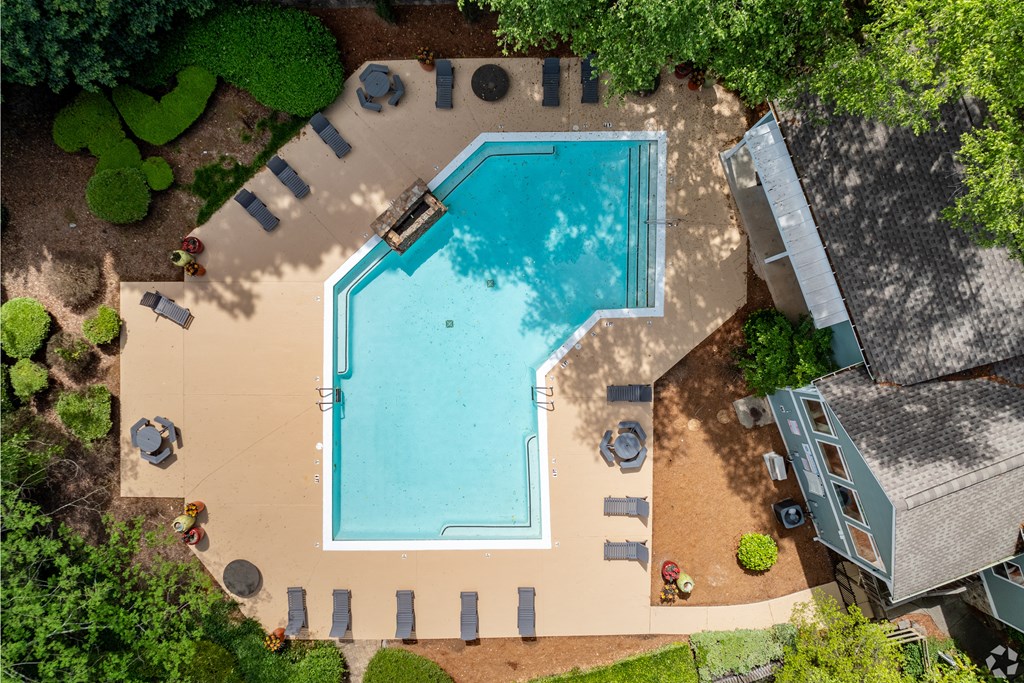 arial view of a swimming pool in a backyard with trees