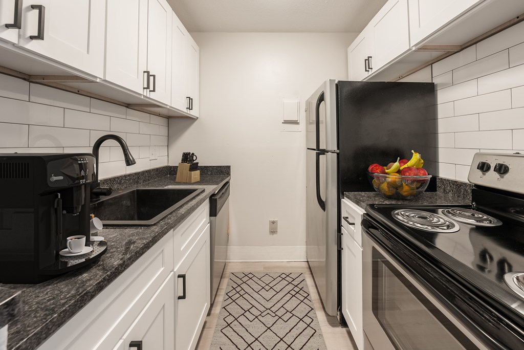 A black and white kitchen with a black fridge, black stove, and black countertops.