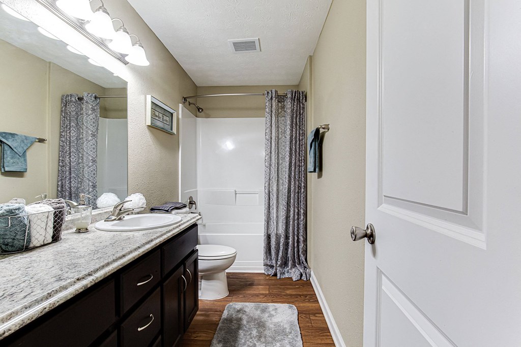 a bathroom with a sink and a toilet and a shower