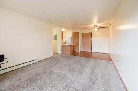 A spacious room with a grey carpet and a white wall.