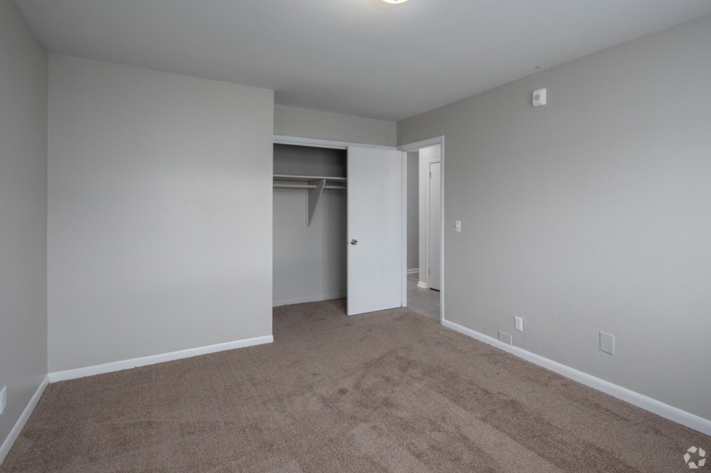 a bedroom with gray walls and carpet