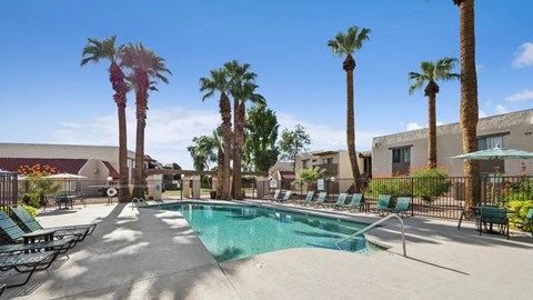 Swimming Pool with scenic view of palm trees
