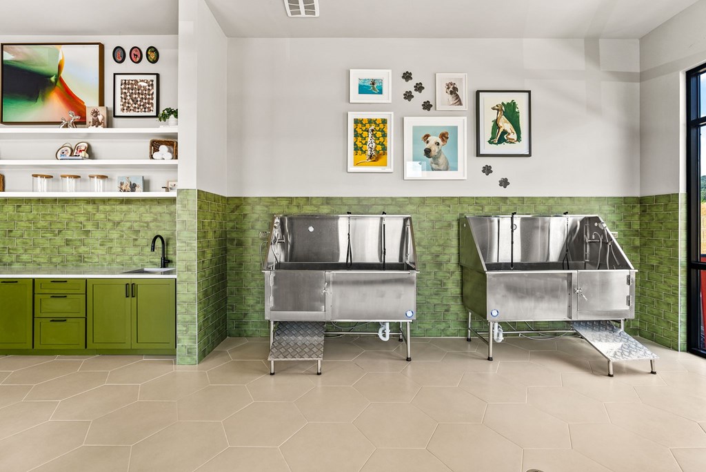 A pet spa with two sinks