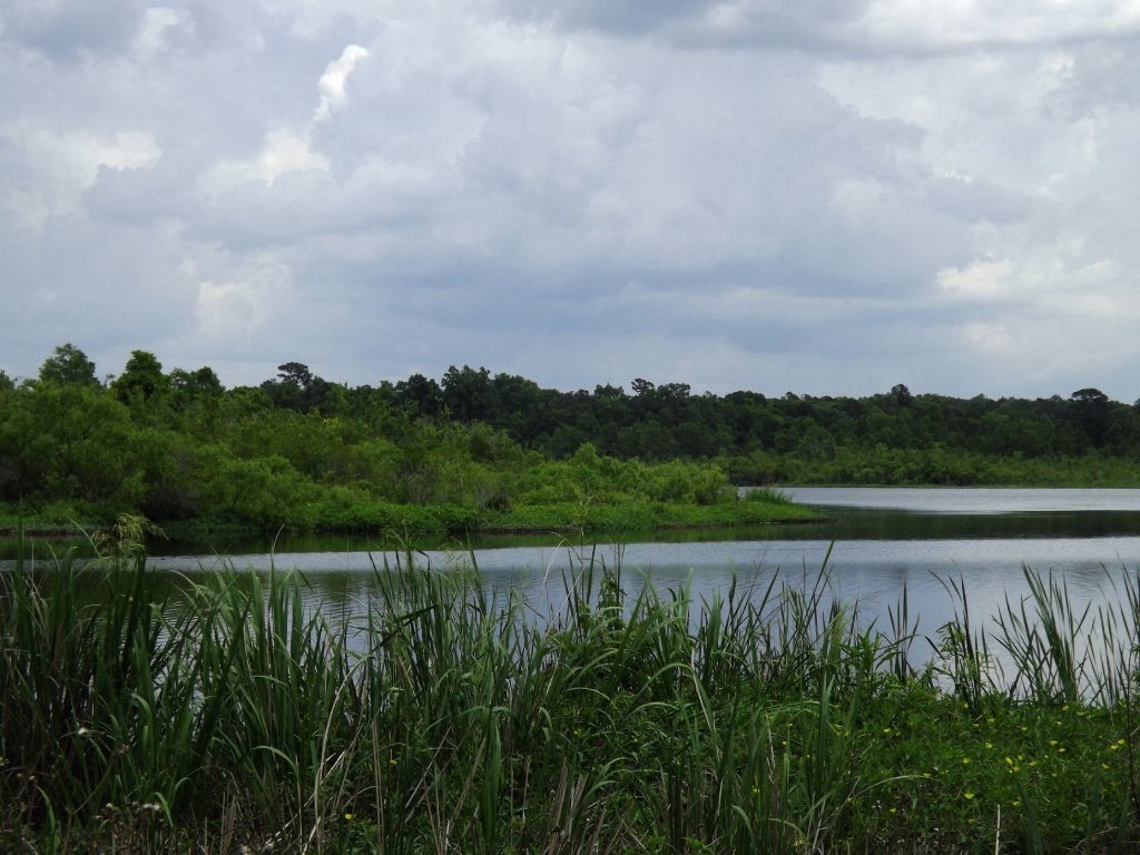 Lake with greenery at Lakewood Lodge in Hanahan, SC