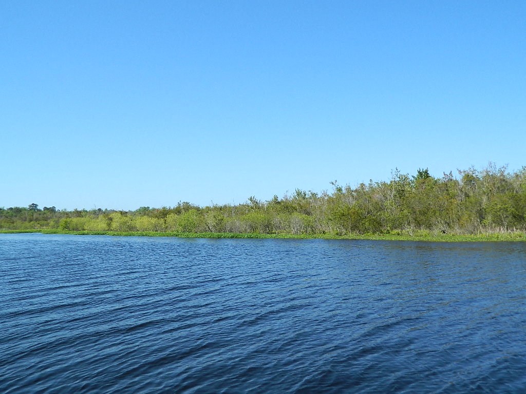 Lake surrounded by greenery and a clear sky at Lakewood Lodge, Hanahan, SC