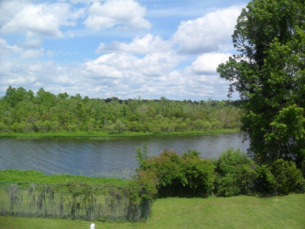 Lake surrounded with grass and trees at Lakewood Lodge apartments in Hanahan, SC