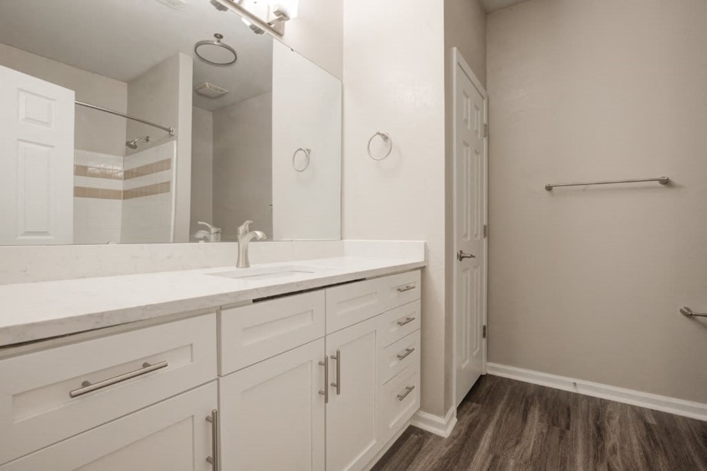 spacious bathroom with large vanity  at Lex at Brier Creek, Morrisville