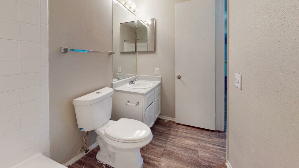 a bathroom with a toilet and a sink and a mirror