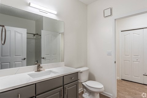 a bathroom with a mirror and a toilet and a sink