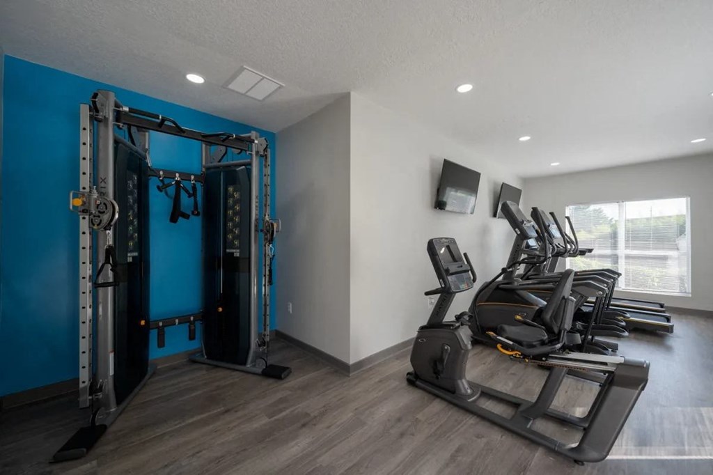 A gym with a row of treadmills and a squat rack.