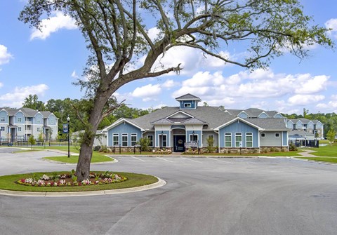 A large tree stands in front of a building with a roundabout in front of it.