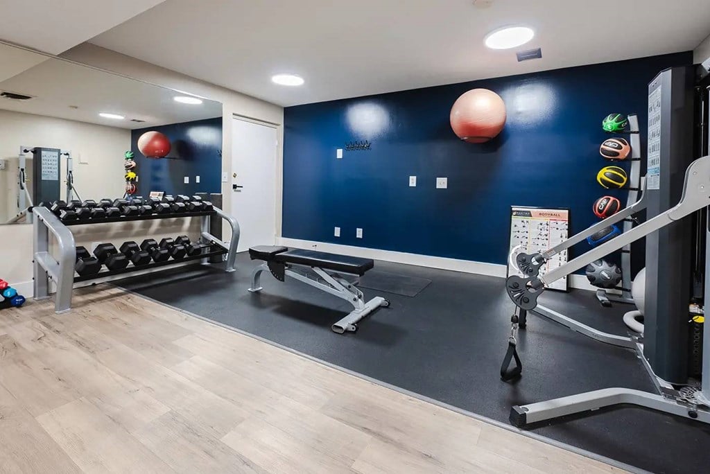A gym with a row of treadmills and a rack of dumbbells.