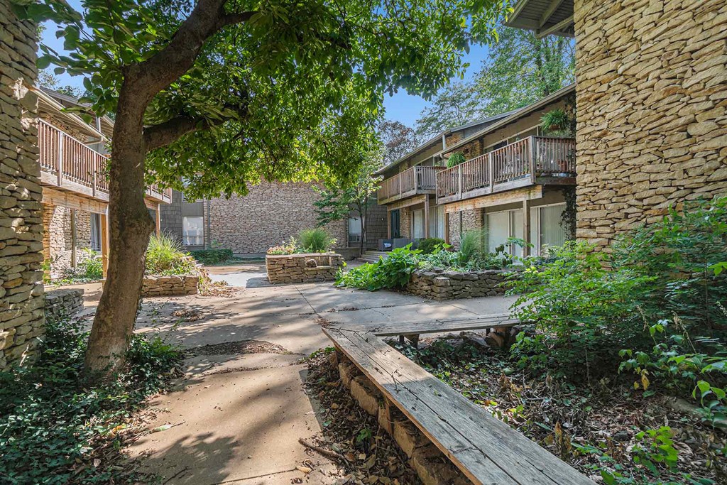 A tree in a courtyard with a bench and a building in the background.