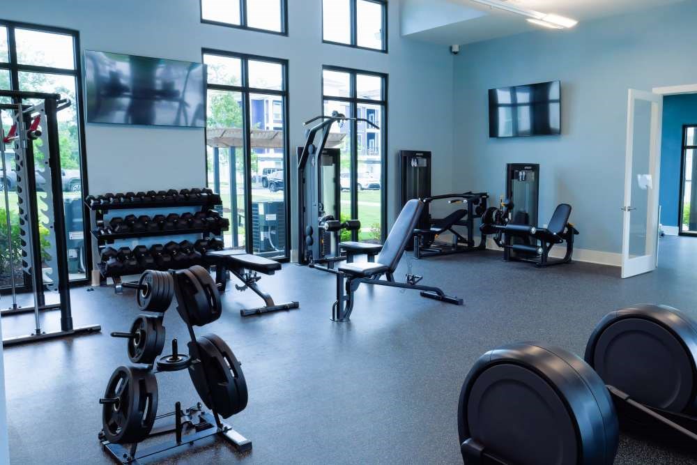 A gym with a variety of equipment including dumbbells, weight plates, and a bench press.