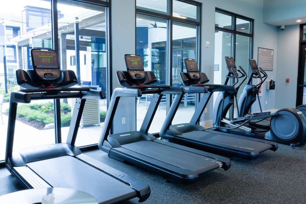 A row of treadmills and elliptical machines in a gym.