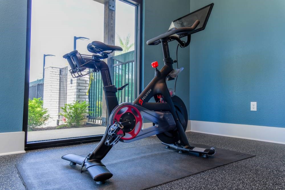 A stationary exercise bike is placed in a room with a view of the outdoors.