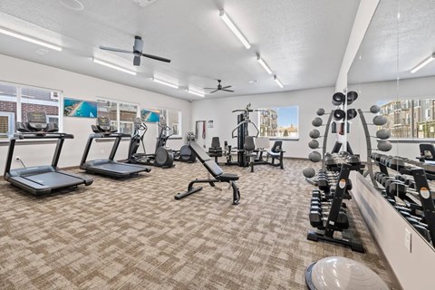 A well-equipped gym with treadmills, weights, and exercise machines.