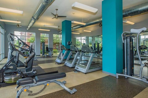 Gym at Century Cedar Hill, Cedar Hill, 75104