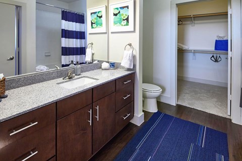 Bathroom With Storage Area at Century Cedar Hill, Texas, 75104