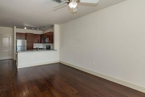 Living And Kitchen Area at Century Cedar Hill, Texas