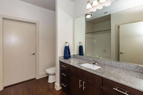 A bathroom with a toilet, sink, and mirror.at Century Cedar Hill, Texas, 75104