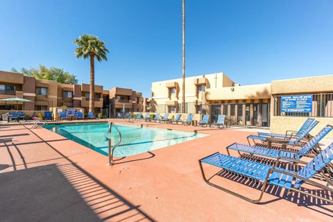 A pool surrounded by chairs and a palm tree.