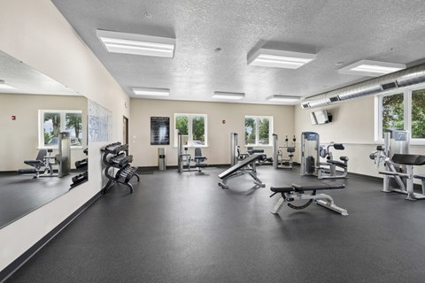 A spacious gym with a variety of equipment.