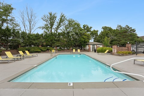 A large outdoor swimming pool surrounded by trees and lounge chairs.