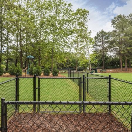 a dog park with a fence and trees