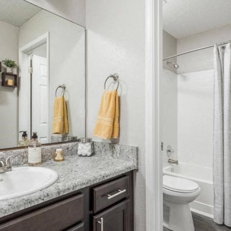 a bathroom with a sink and a toilet and a mirror