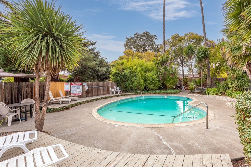 a resort style pool with lounge chairs and palm trees